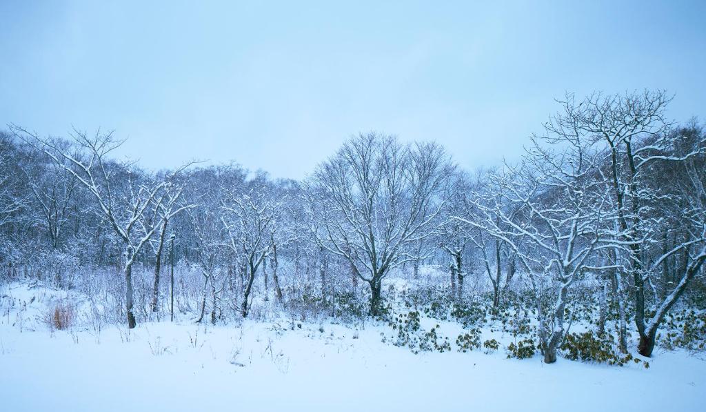 Surrounding environment