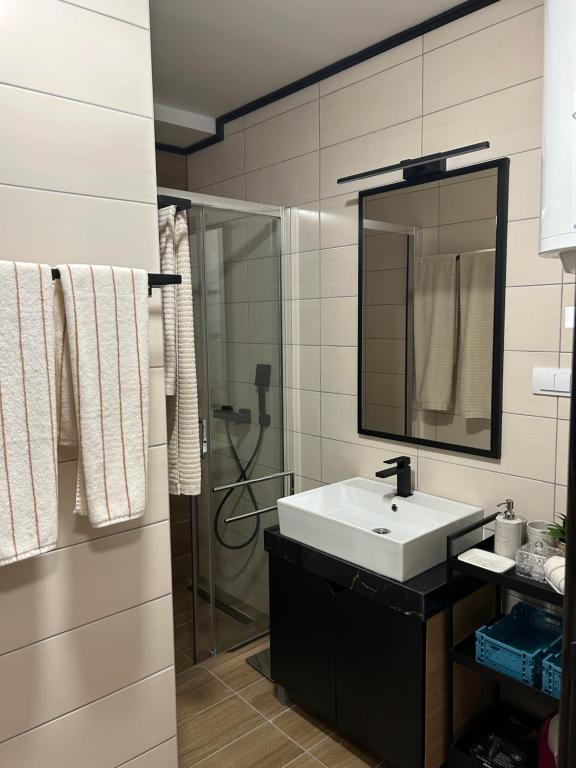 Apartman Nikolic 418 - 2