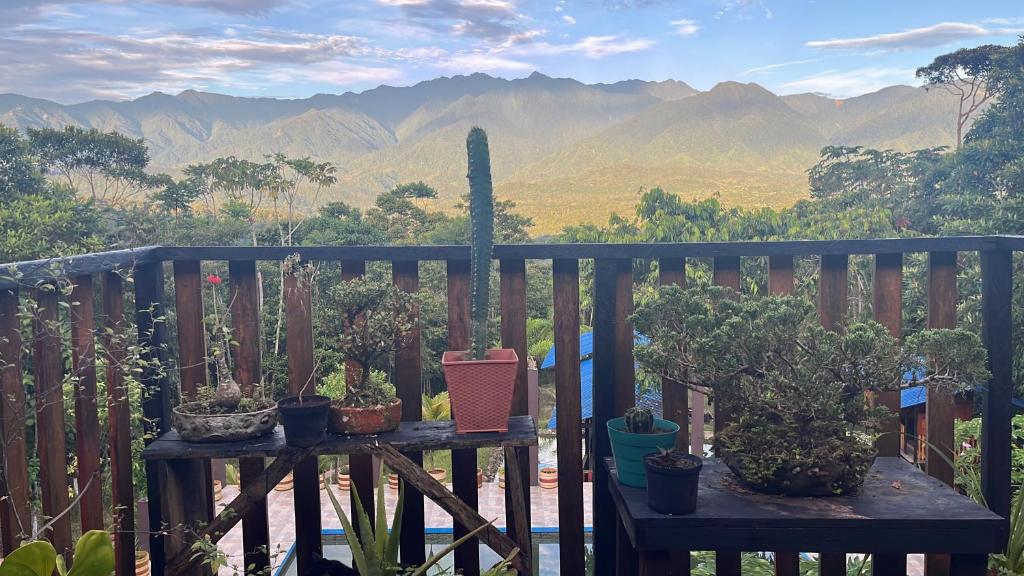 Cloud forest hostel - 2