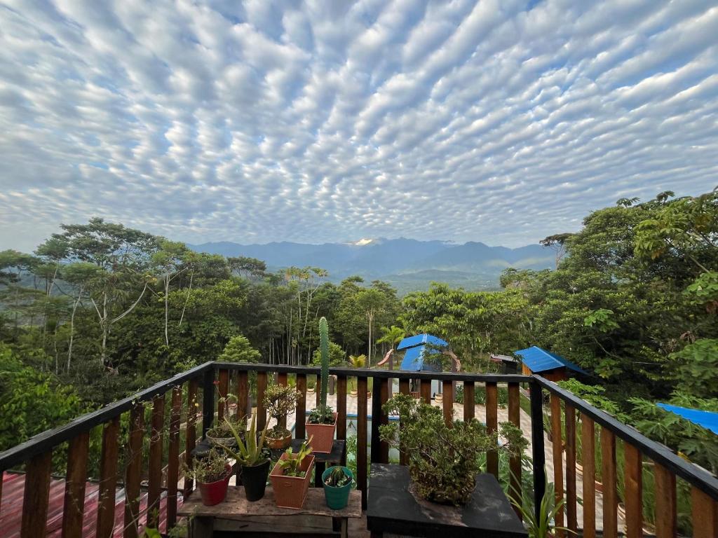 Cloud forest hostel - 3