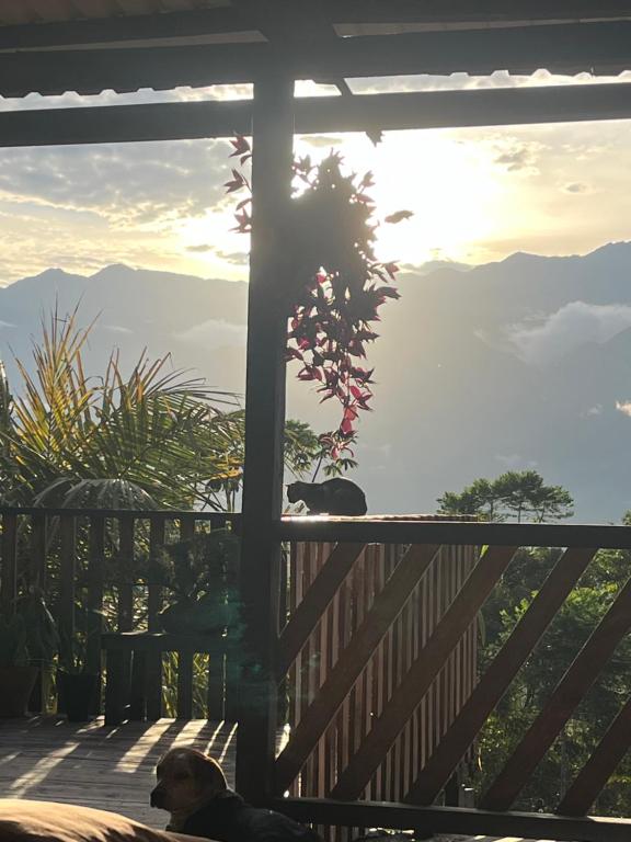Cloud forest hostel - 4