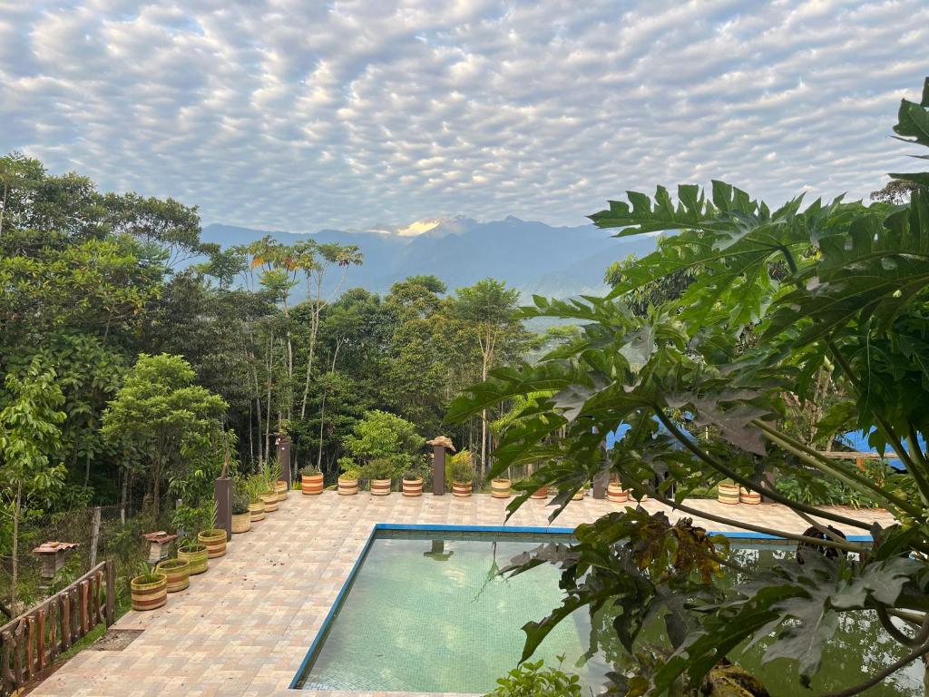 Cloud forest hostel - 1