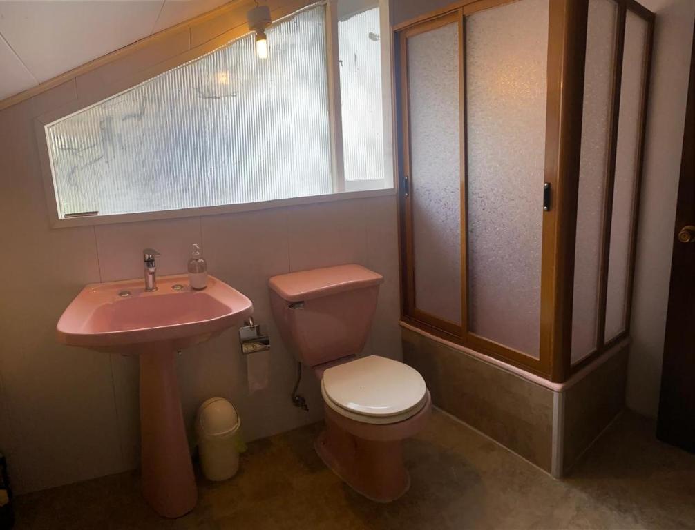 Raíces de Gamboa - 2