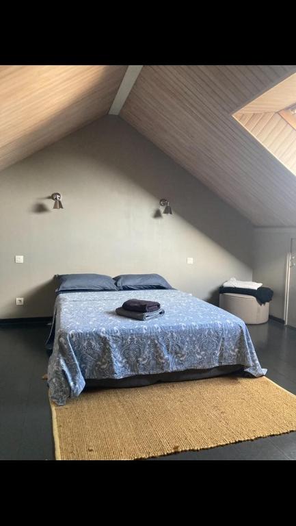 3-bedroom house with garden, near city center - 5