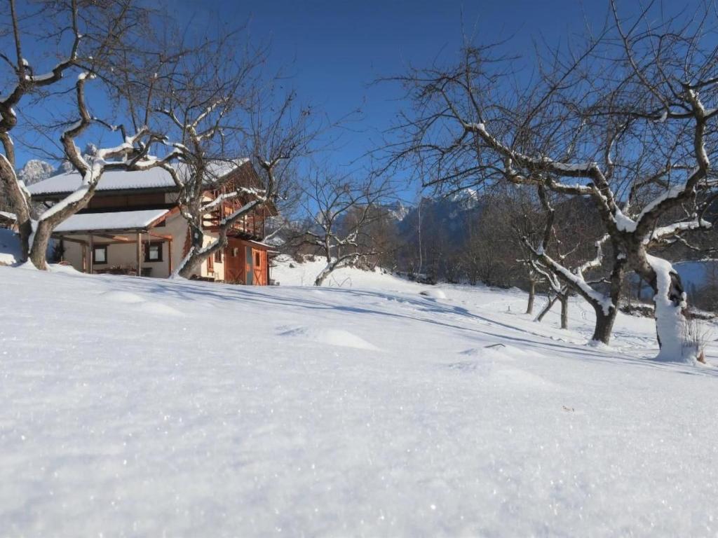 Holiday Home Romantisches Chalet in den Wiesen der Dolomiten by Interhome - 4