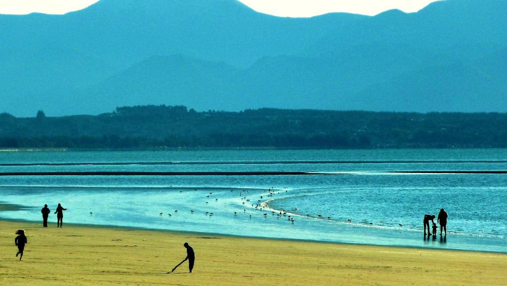 Surrounding environment