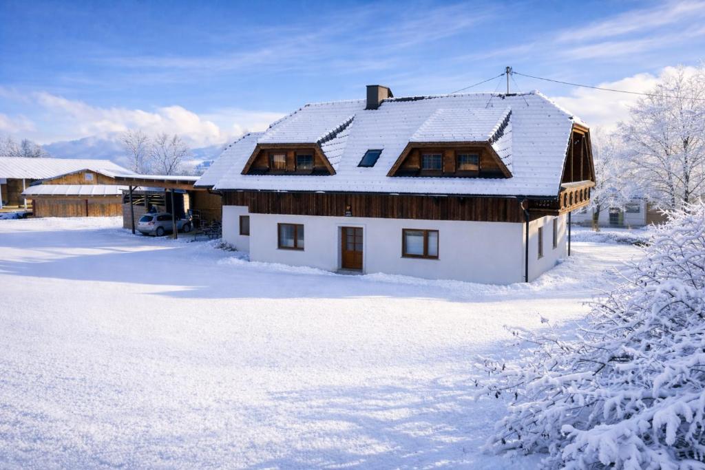 FriedlHof Kärnten Ferienwohnungen für bis zu 10 Personen - 2