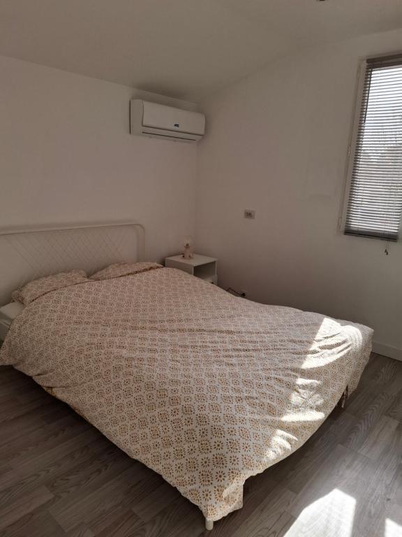 Ateka Maison et 2 appartements 9 chambres piscine - 3