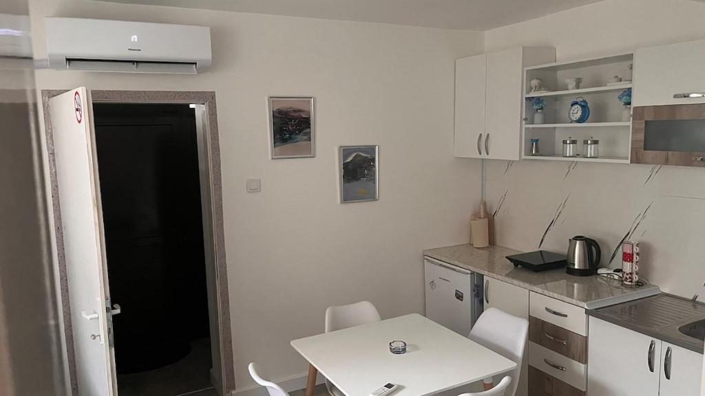 Apartment Aleksic - 3