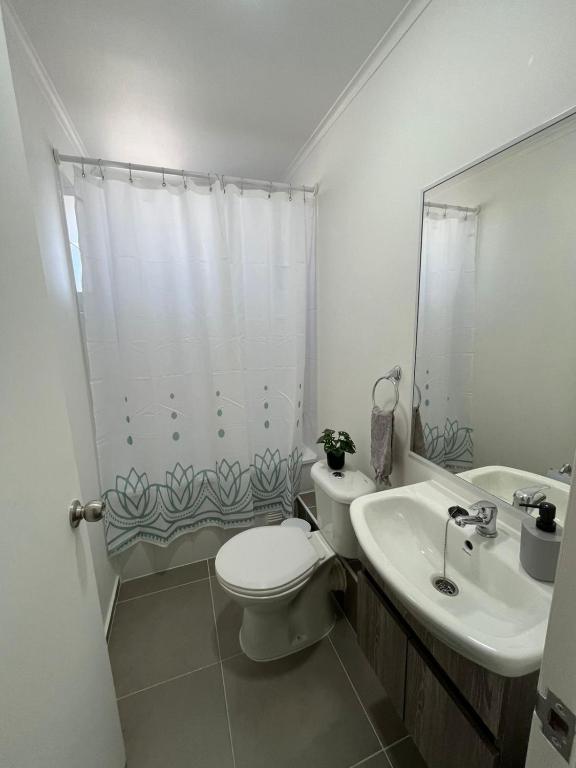 Mirador al volcán - 5