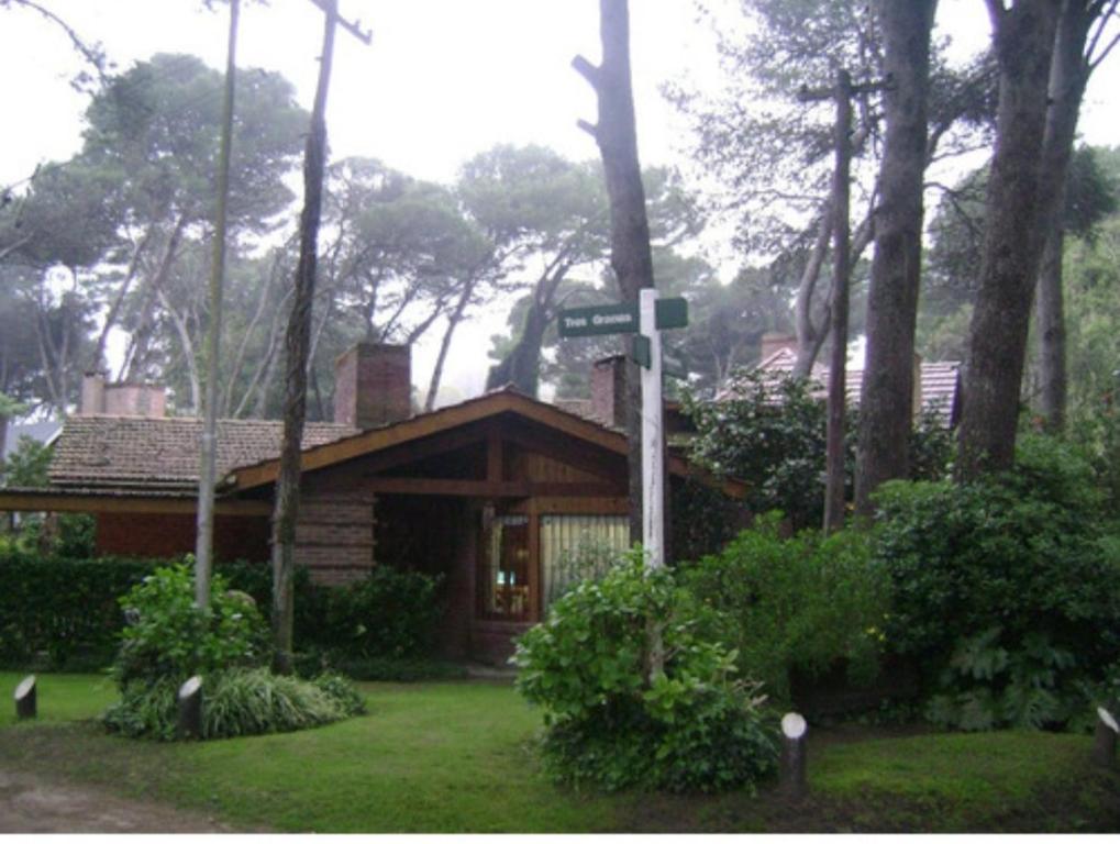Papacholo - 1