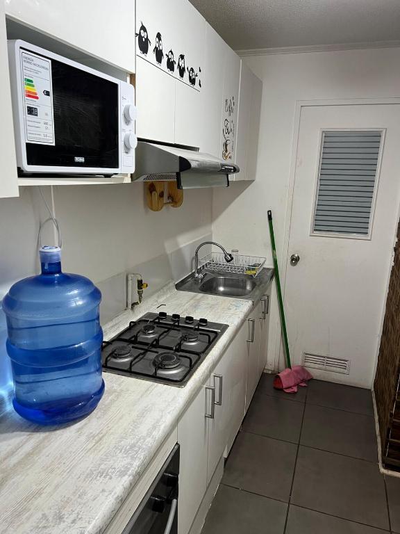 Arriendo Deparramento - 5