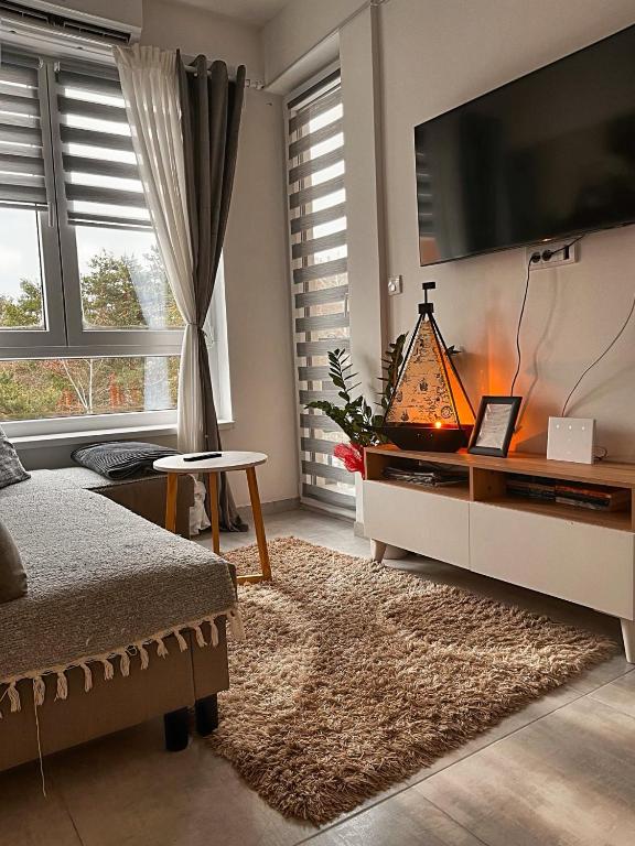 Apartman Toplina doma - 2