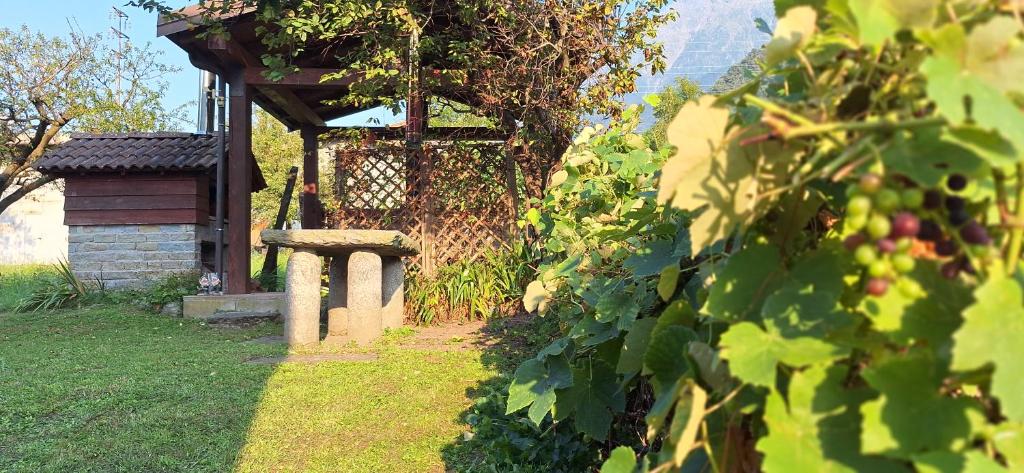 Casa Romilda with garden and Wi-Fi - 2