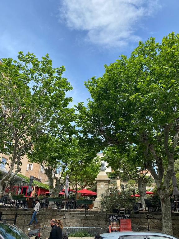 Calvi apartment 75 m2 city center - 2