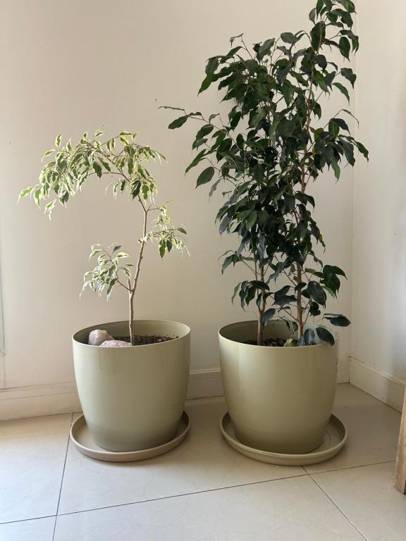 Departamento 3 amb zona Güemes con cochera cubierta - 4