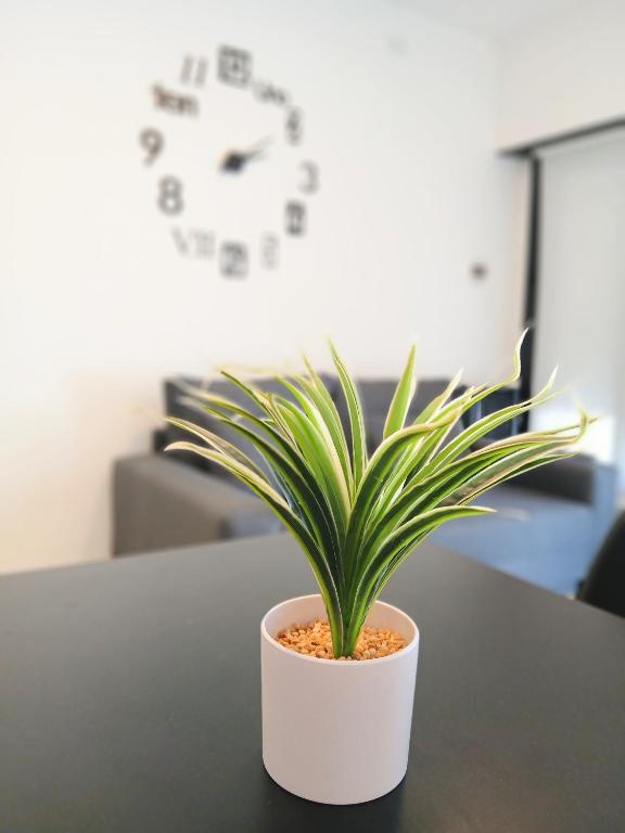 Departamentos Necochea Playa - 3