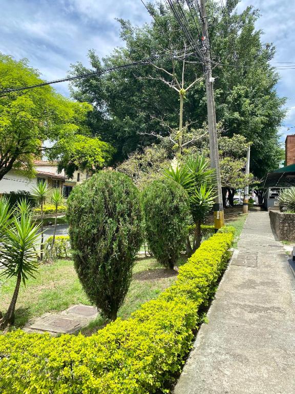 Loft - Laureles, interno con patio - 4