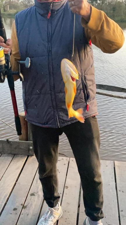 Hospedaje Los Nenus - 5