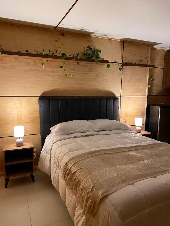 Acogedor espacio en el centro de Concepción - 2