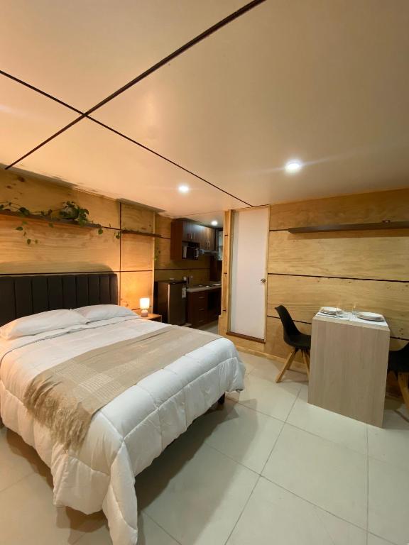 Acogedor espacio en el centro de Concepción - 3