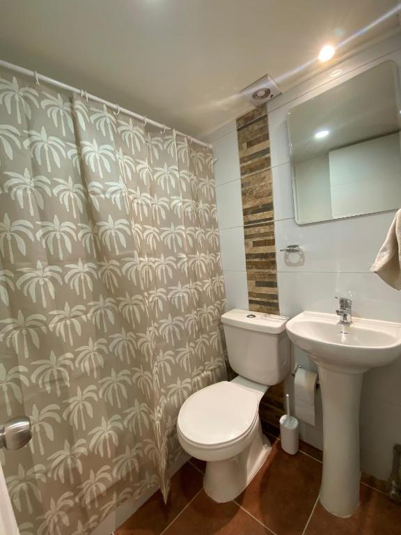 Acogedor espacio en el centro de Concepción - 5