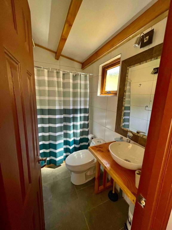 Loft Valdivia - cutipay - 3