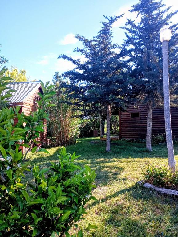 Cabañita 2 - 5