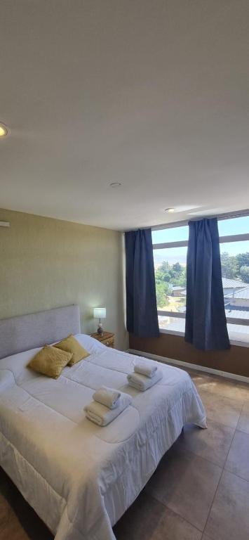 Triplex con pileta y vista Tres Picos - 4