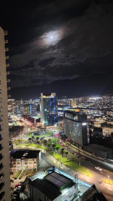 Studio Apartment 1D 1B Cavancha Peninsula - 1