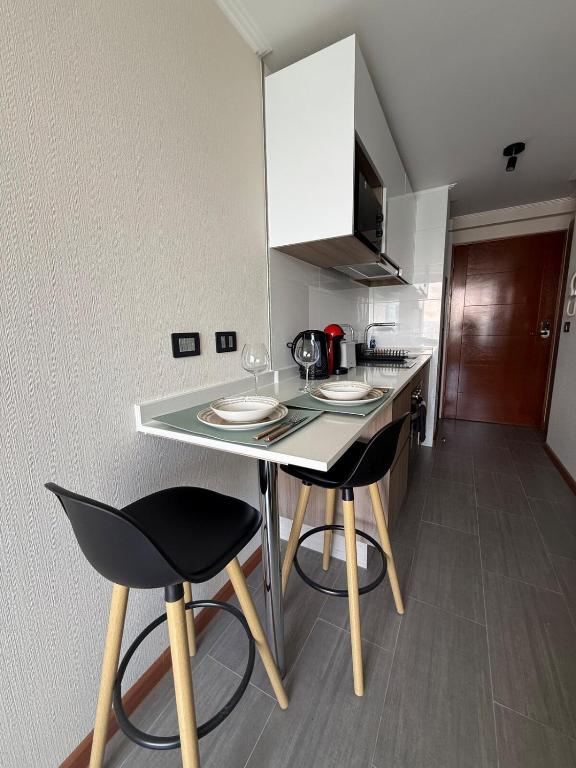 Studio Apartment 1D 1B Cavancha Peninsula - 2