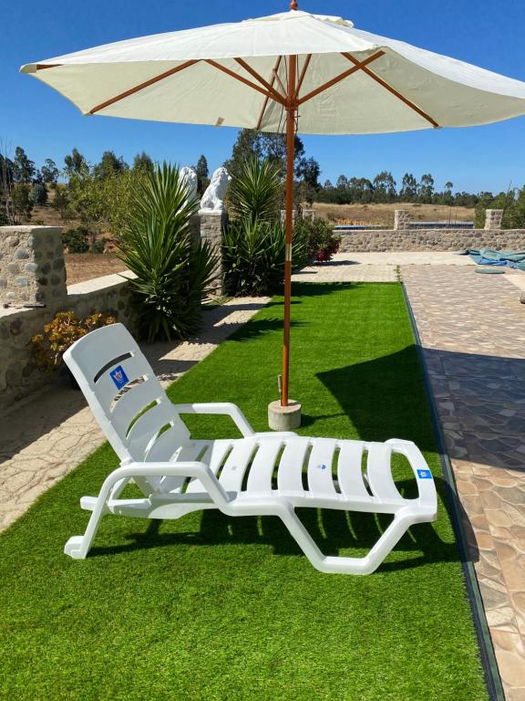 Cabaña en Algarrobo sector San José - 5