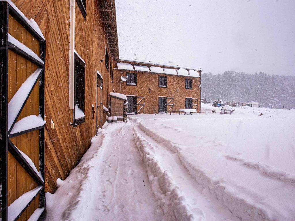 Maison Prestige en Forêt pour 15, Confort et Élégance aux Angles - FR-1-295-213 - 2