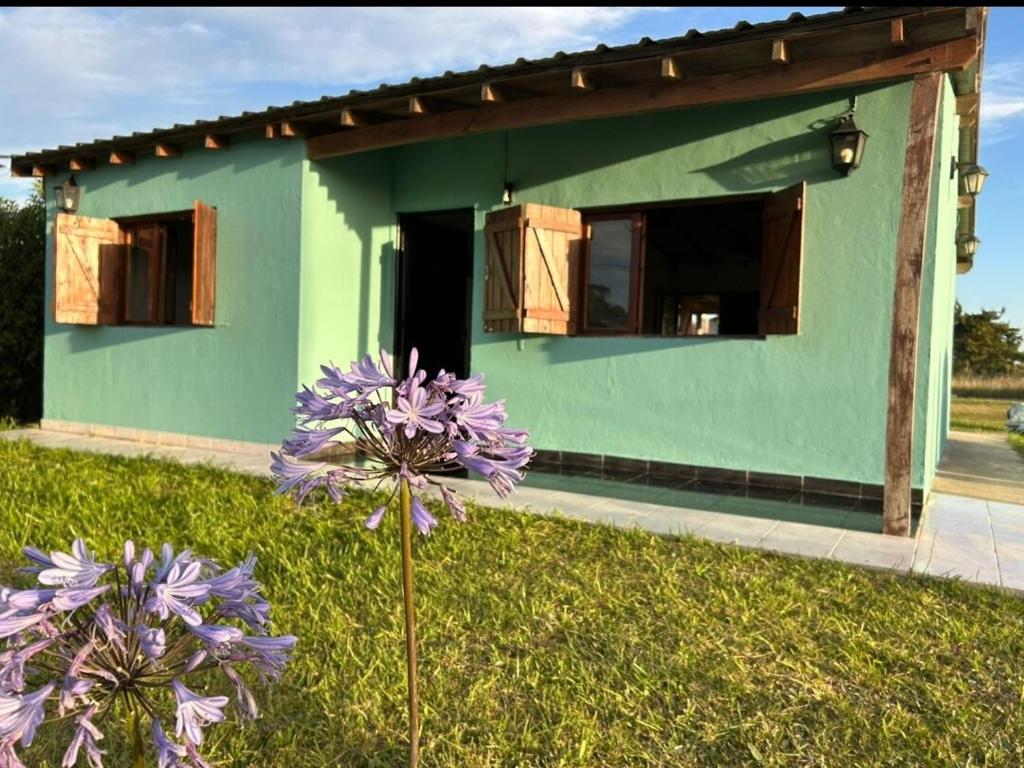 Casa con gran parque y parrilla Miramar - 1