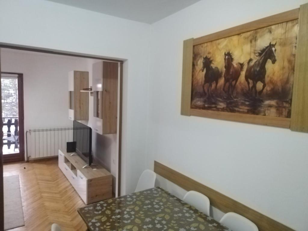 vila Nina - 5