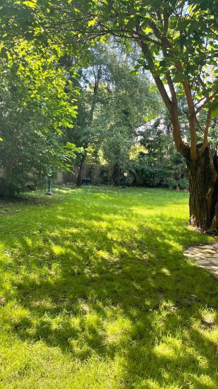 vila filip - 2