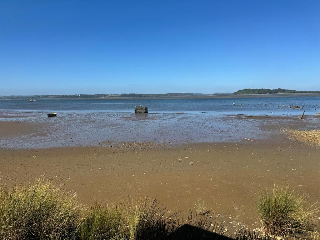 Cabañas y Tinajas Rio Quenuir - 3