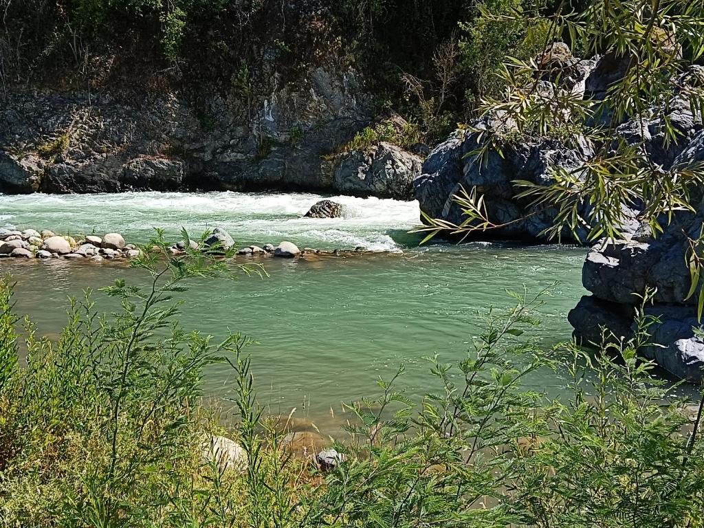 Cabaña EMBALSE ANCOA linares - 4