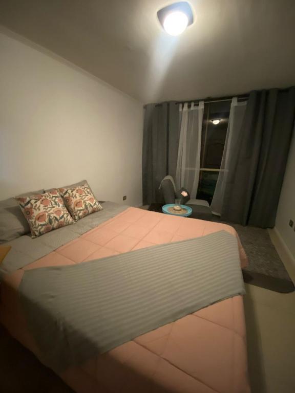 Departamento frente al Parque Playa Brava 22 - 3