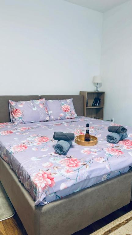 Sabina apartmani - 2