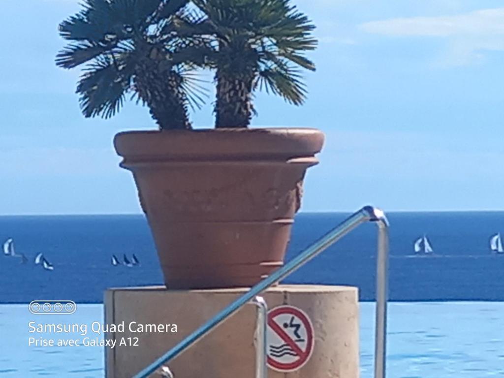 Cannes superbe appt 3 pces Wi-Fi Clim Piscine Vue sur les îles et les Paquebots - 5