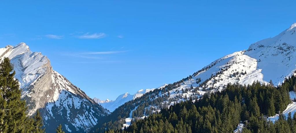 Slow Chalet Tilleuls vue montagne proche pistes & randos Manigod 5 pers - 3