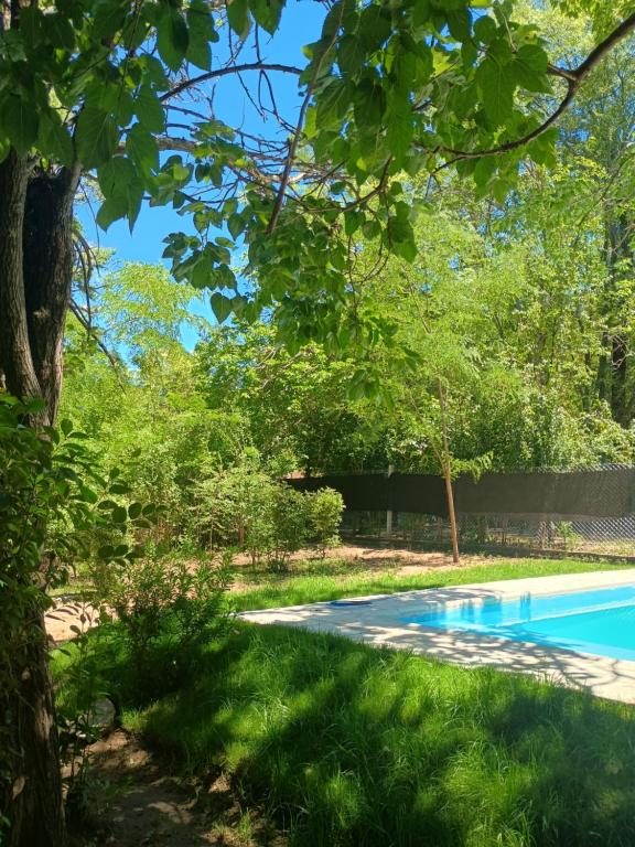 Flor de Espinillo Estancia Grande - 2