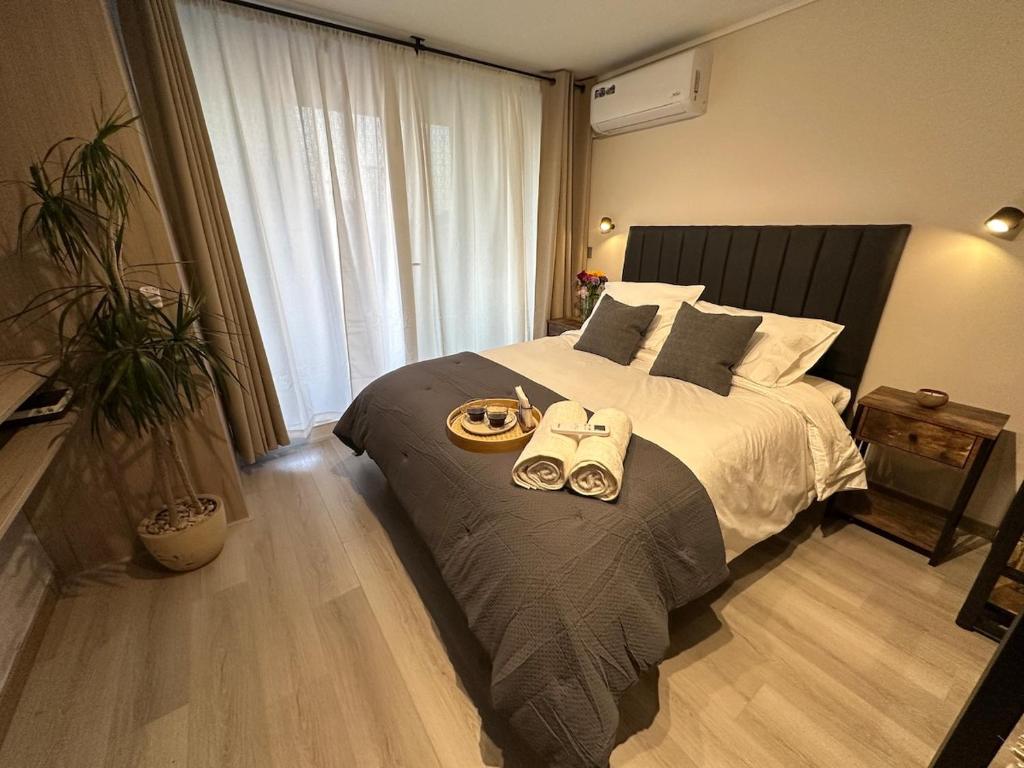 Warm Studio Ñuñoa - Metro Santiago L3 Equipped Connected - 1