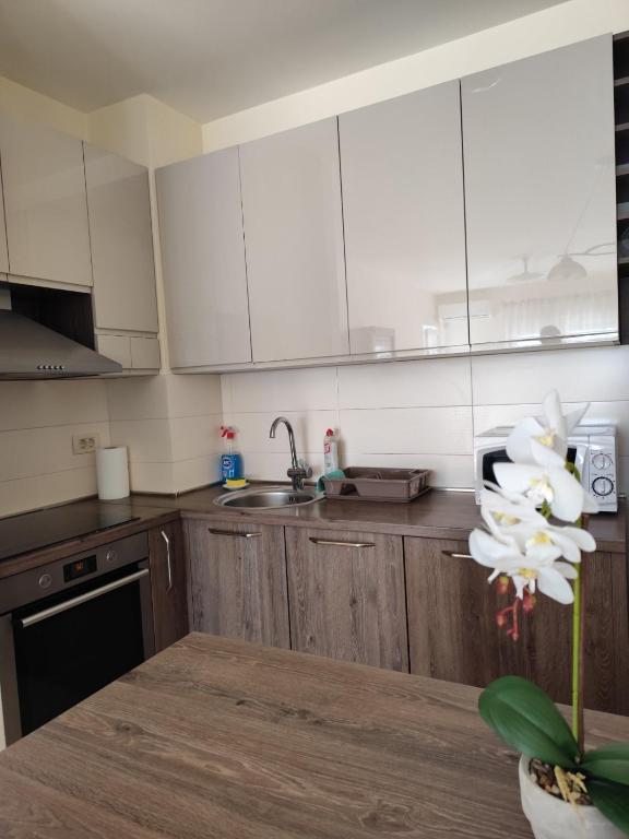 Apartman City kvart Podgorica 2 - 5
