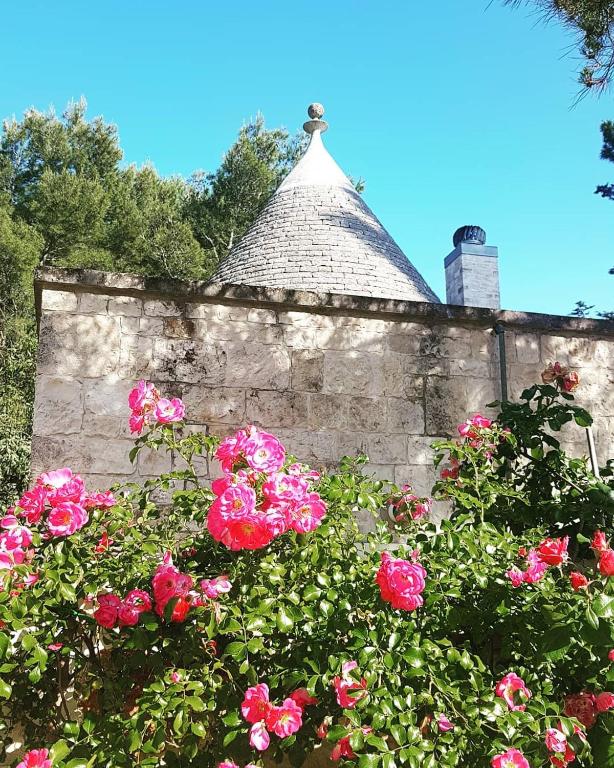 Il trullo delle rose - 3