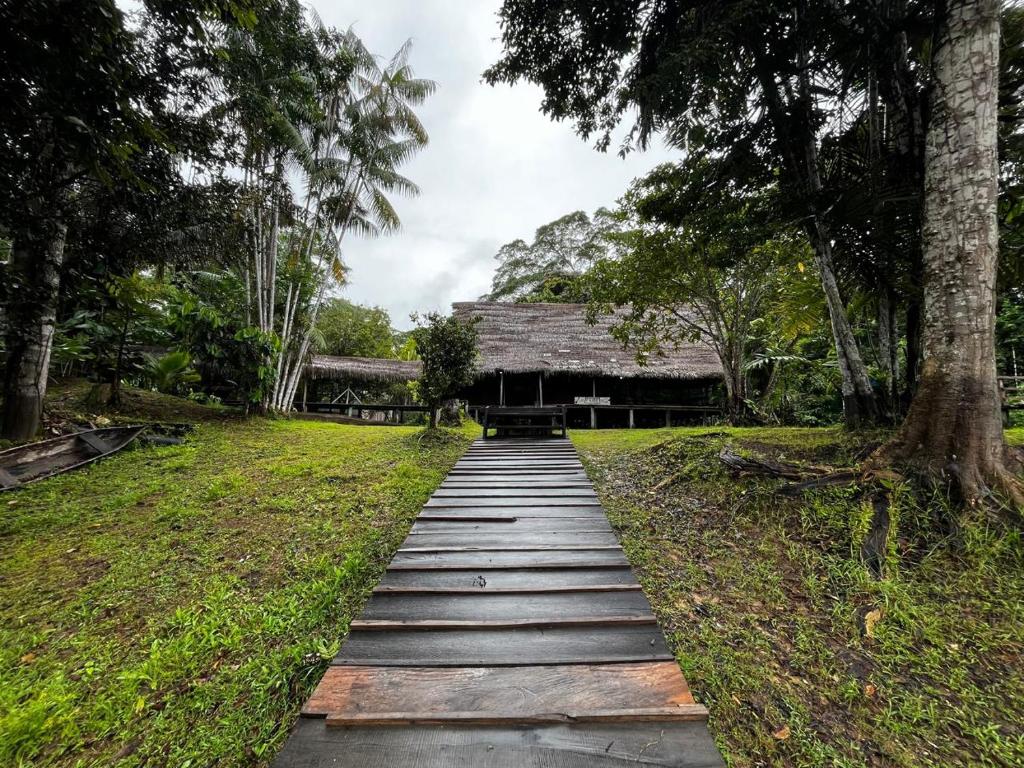 Ivy Mara Ey Lodge - 5