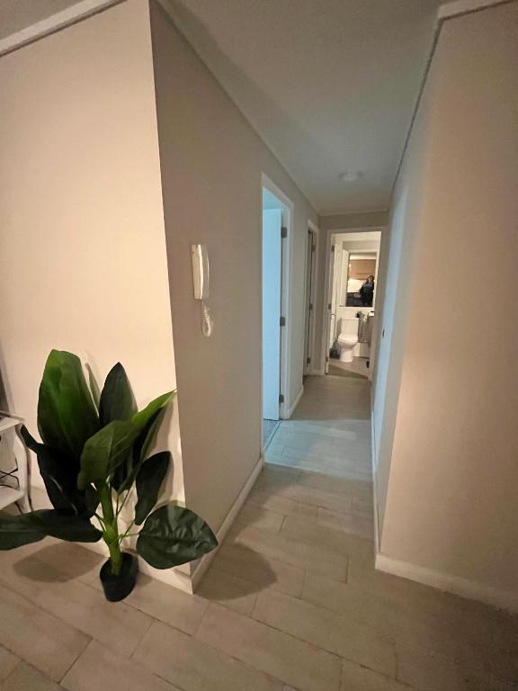 Hermoso Departamento Central Quillota con Estacionamiento y Conserjeria 24 H - 4