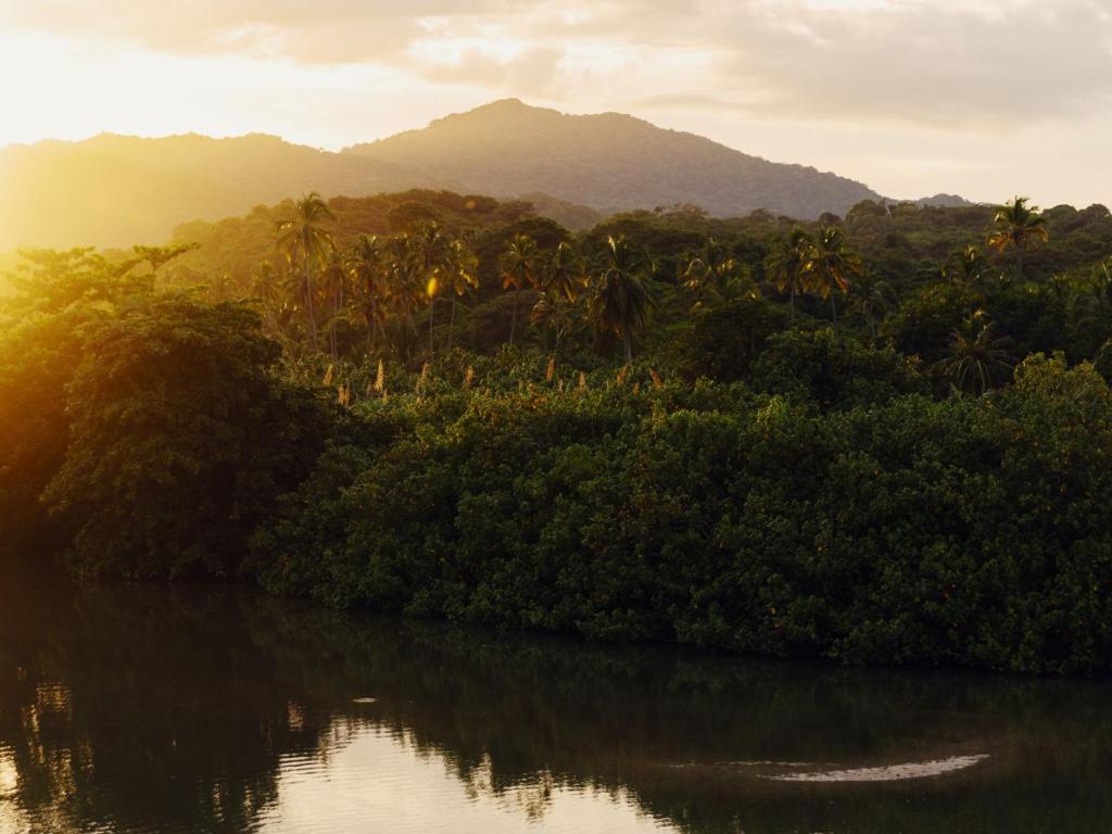 Finca Barlovento Maloka, Tayrona - 4
