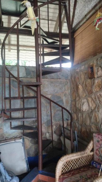 Cacao farm - 1